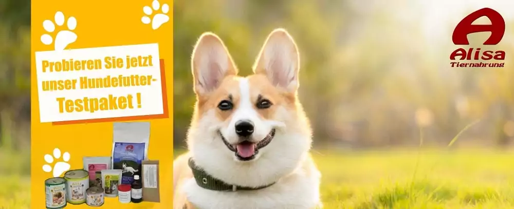hypoallergenes Hundefutter testen bei Alisa Tiernahrung Shop hypoallergenes Hundefutter testen bei Alisa Tiernahrung Shop